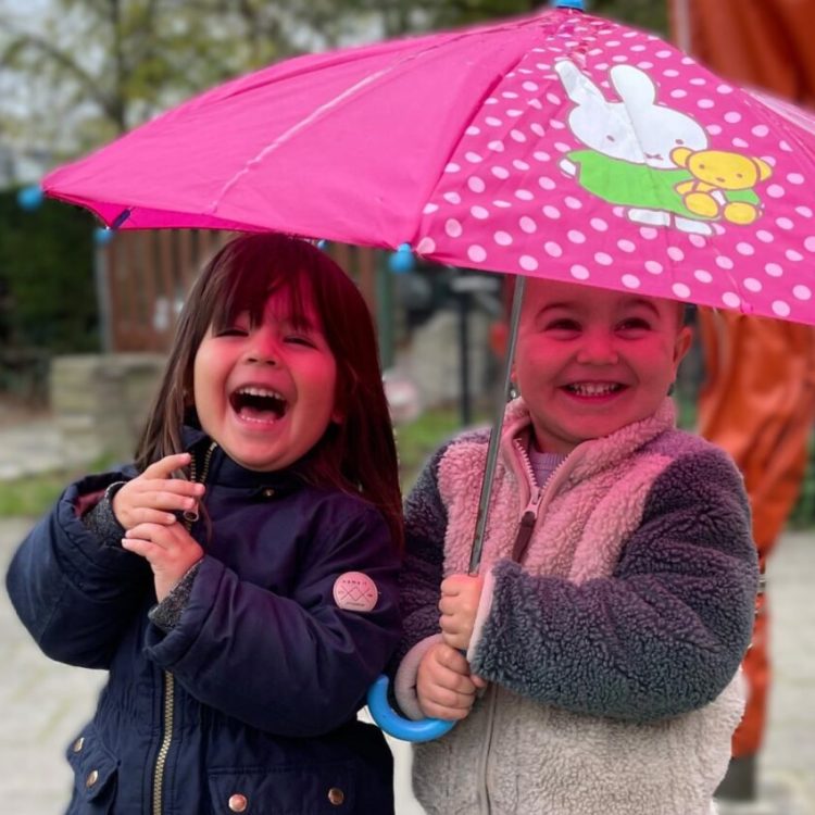 Mierennest-foto-2-1-1100x850